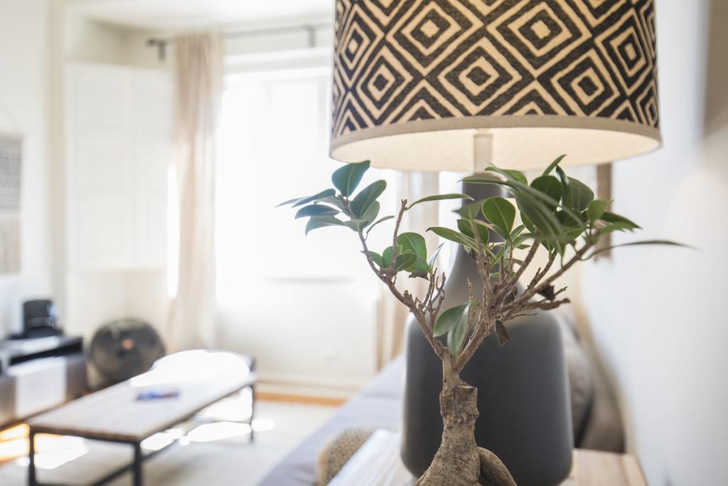 Lovelystay - Bonsai Light And Comfort Flat Lisbon Bilik gambar